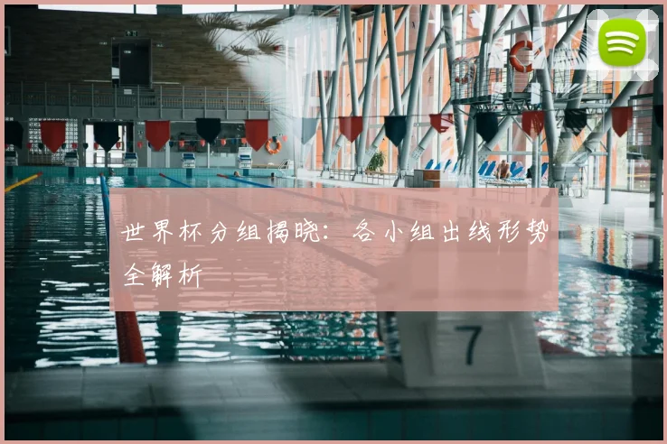 世界杯分组揭晓：各小组出线形势全解析